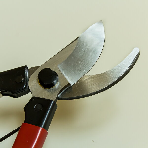 ファミリーエース ご家庭用剪定鋏 200( 剪定ハサミ 剪定ばさみ 剪定バサミ)