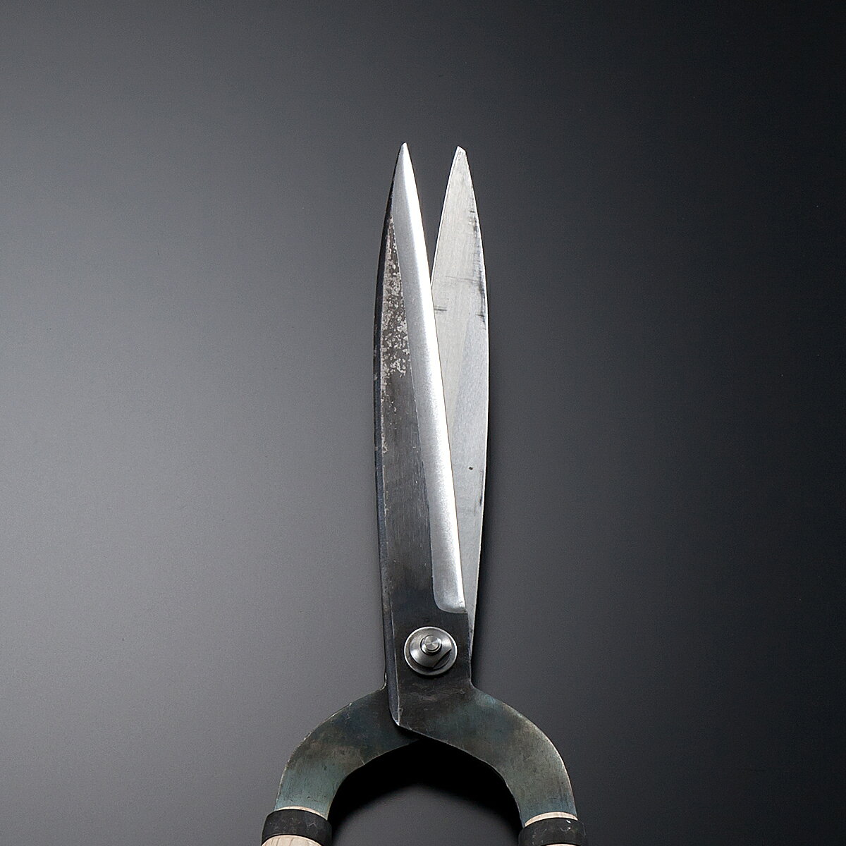極上 刈込鋏 門型 210mm 白紙鋼 (本職向け プロ 植木 庭師 園芸)