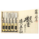 鑿 ねずみ 粉末ハイス グミ柄 追入のみ 5本組 桐箱入 セット (大工道具 追入れ鑿 のみ ノミ)