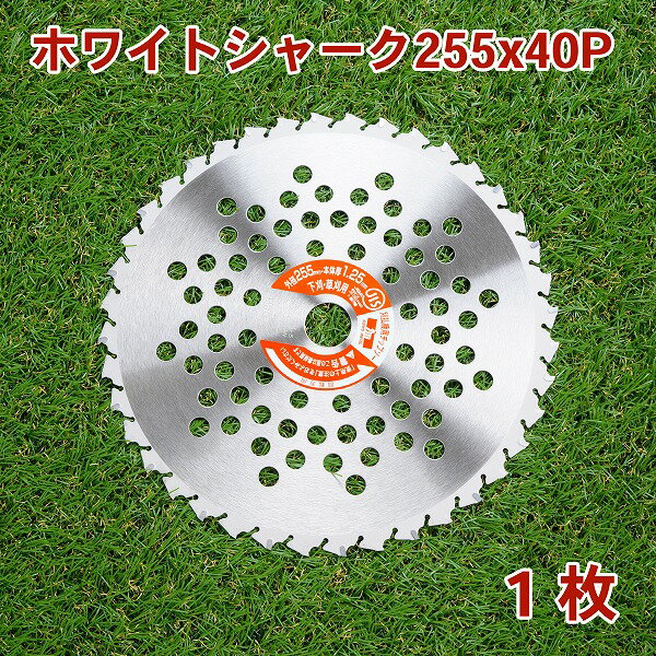 草刈り機用 チップソー ホワイトシャーク255mm×40P 1枚山林 下刈用（草刈機 替刃 刈払機用）