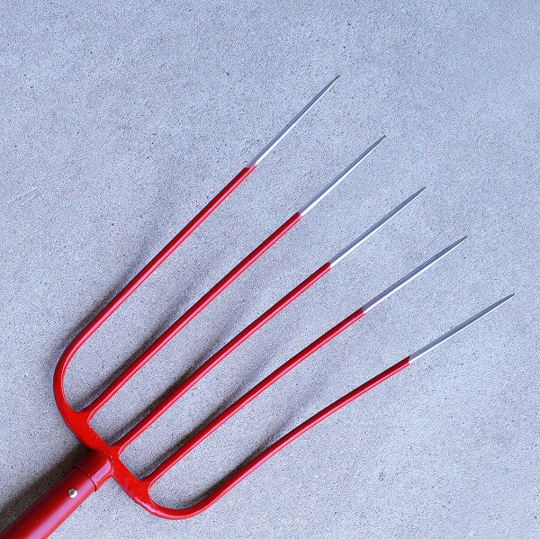 ��ˡ�͸������ʡ�������ܻ��� G�ե����� 5���� �����ޤȤ��㤤 6���ȡ����� ���� �ܻ� ����ѡ�