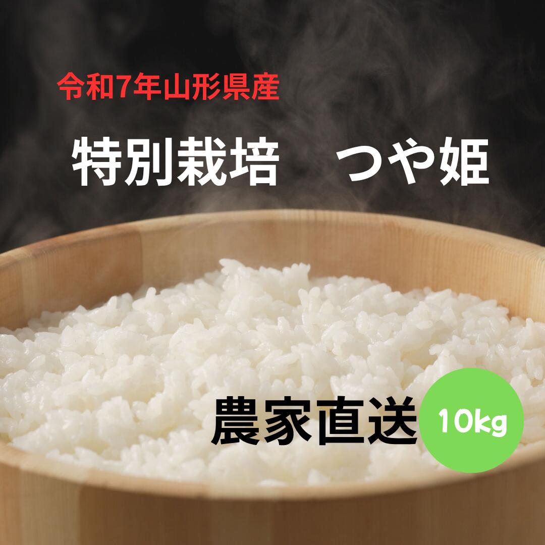 つや姫 10kg 山形県産 �