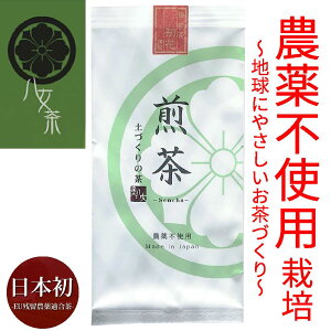 【ショップポイント3倍】農薬不使用八女茶 極 煎茶 初花 新茶 EU残留農薬適合茶 2020 緑茶 茶葉 八女茶 母の日 ギフト 健康 お歳暮 80g 送料無料