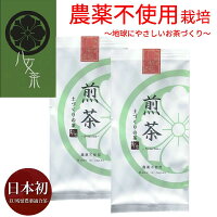 【農薬不使用八女茶極煎茶初花】新茶EU残留農薬適合茶2020緑茶茶葉八女茶母の日ギフト健康お歳暮80g