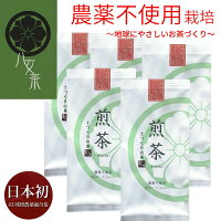 【農薬不使用八女茶極煎茶初花】新茶EU残留農薬適合茶2020緑茶茶葉八女茶母の日ギフト健康お歳暮80g