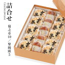 詰合せ(菊之寿10/栗饅頭5)【御供/お土産/奈良】【楽ギフ_包装】 【楽ギフ_のし宛書】 (お菓子/和菓子/焼き菓子/プレゼント/銘菓/名物/老舗/おみやげ/...