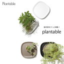 キャスター付きの植木鉢トレー!Plantable(プランタブル) インテリア雑貨&キッチン雑貨のお店hono おしゃれ かわいい プレゼント ギフト 内祝い 小...