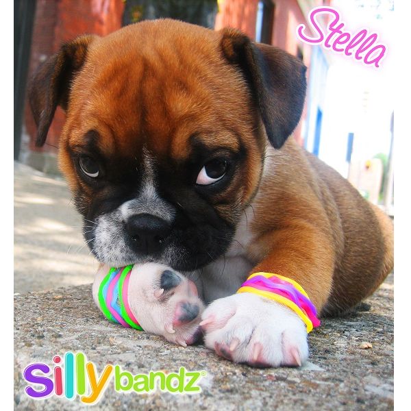 シリコン製のブレスレット！Silly bandz（シリーバンズ）MARVEL（マーベル）×12パ...