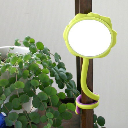 �ե쥭���֥륢���ब�դ������ regina�ʥ쥸���ʡ� ����ƥꥢ���ߡ����å��󻨲ߤΤ�Źhono ������� ���襤�� �ץ쥼��� ���ե� ��ˤ� ��ʪ