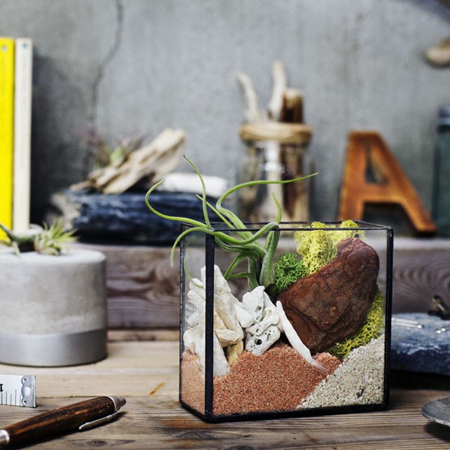 テラリウム 世界で一つだけのオリジナルグリーンギフト！”URBAN GREEN MAKERS”VINTAGE GLASS BRASS BOX TERRARIUM KIT（#04） インテリア雑貨＆キッチン雑貨のお店hono おしゃれ かわいい プレゼント ギフト 内祝い 小物