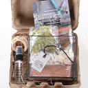 世界で一つだけのオリジナルグリーンギフト！”URBAN GREEN MAKERS”VINTAGE GLASS BRASS BOX TERRARIUM KIT（#04） インテリア雑貨＆キッチン雑貨のお店hono おしゃれ かわいい プレゼント ギフト 内祝い 小物 3