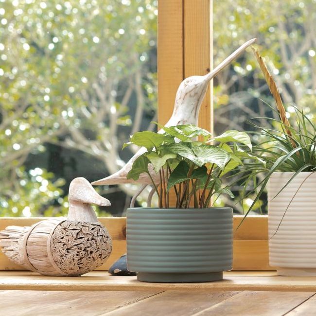 Rakuten - 波形模様が印象的な陶器鉢！”TRONCO（トロンコ）”Aalto Short【植木鉢 底穴 受け皿 インテリア 陶器 グリーン 植物 フラワー ポット プランター 5号】
