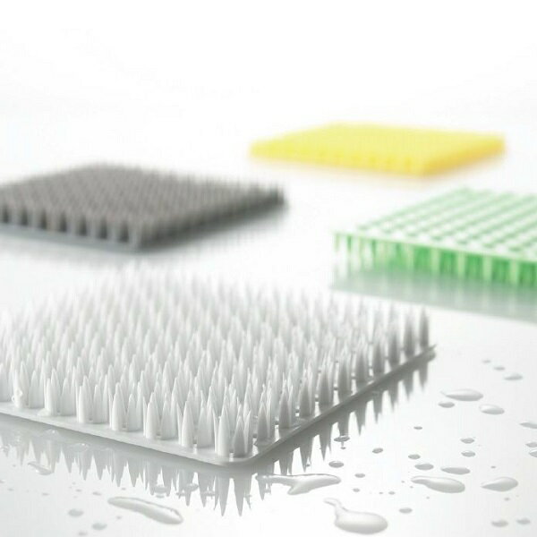 キッチンで色々使えるブラシ!”tidy”Platawa for Kitchen (プラタワフォーキッチン)×10枚セット【泥落とし カゴ ザル 根菜】 キッチン...