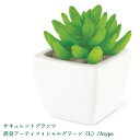 サキュレントプランツ 消臭アーティフィシャルグリーン(L)/Atype インテリア雑貨&キッチン雑貨のお店hono おしゃれ かわいい プレゼント ギフト 内祝...