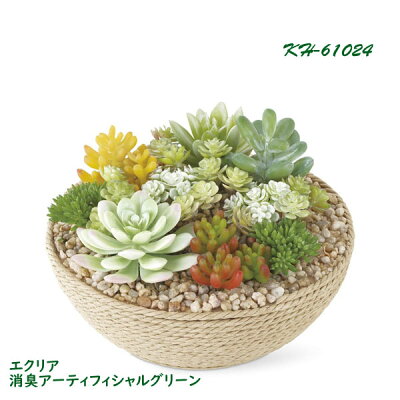 観葉植物 日陰や寒さにも強いおすすめ植物12選をご紹介 暮らし の 観葉植物 日陰や寒さにも強いおすすめ植物12選をご紹介 暮らし の