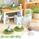 可愛いお庭を育てよう! ZOONY GARDEN(ズーニーガーデン) キッチン雑貨 おしゃれ ナチュラル キッチングッズ プレゼント 北欧 新生活 おしゃれ雑貨...