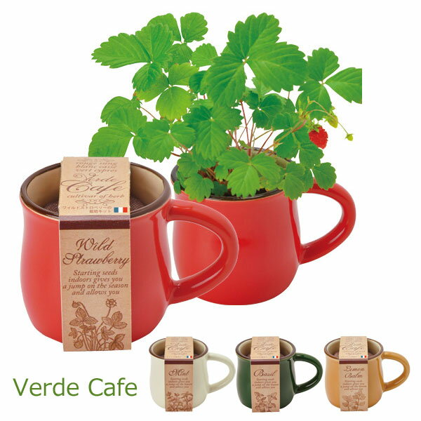 ポットで育つ♪Verde Cafe（ヴェルデ カフェ）　6個セット キッチン雑貨 おしゃれ ナチュラル キッチングッズ プレゼント 北欧 新生活 おしゃれ雑貨 引越し 引っ越し祝い インテリア雑貨＆キッチン雑貨のお店hono おしゃれ かわいい プレゼント ギフト 小物