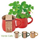 ポットで育つ♪Verde Cafe（ヴェルデ カフェ）　6個セット キッチン雑貨 おしゃれ ナチュラル キッチングッズ プレゼント 北欧 新生活 おしゃれ雑貨 引越し 引っ越し祝い インテリア雑貨＆キッチン雑貨のお店hono おしゃれ かわいい プレゼント ギフト 小物