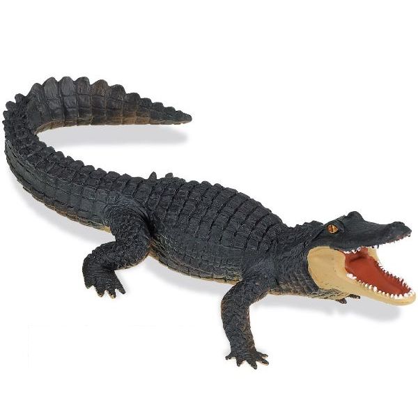 Wild Safari Jungle(ジャングル) アリゲーター 【フィギュア】【動物】【レプリカ】【safari】【人形】 インテリア雑貨&キッチン雑貨のお店...