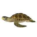 ”Safari(サファリ)”Wild Safari SeaLife(シーライフ) アカウミガメ【フィギュア 動物 レプリカ コレクション】インテリア雑貨&キッチ...