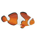 ”Safari(サファリ)”Incredible Creatures(驚くべき生物達)カクレクマノミ【フィギュア 動物 レプリカ コレクション】インテリア雑貨&...