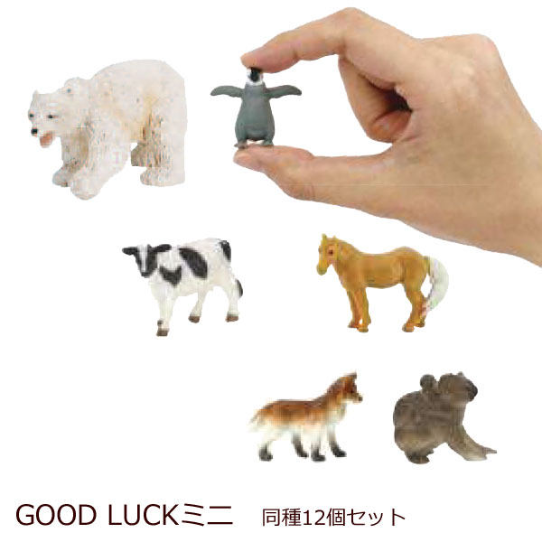 SafariGood Luck Minis グッ...の商品画像