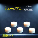 明るくなったら点灯し暗くなったら消灯する不思議なセンサーライト“ミュージアム kiwami” 5個セット コードレスライト 621-05