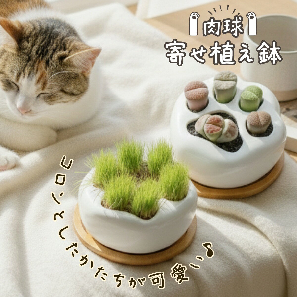 Rakuten - 寄せ植え鉢 猫草 サボテン 多肉植物 鉢植え プランター かわいい こけ玉 肉球型 韓国風 ねこ 植木鉢 植物 苔玉 小型 ミニ インドアグリーン テラリウム 受け皿付き 多穴鉢 セパレート鉢 肉球 ギフト プレゼント デスク インテリア インテリア雑貨 おしゃれ