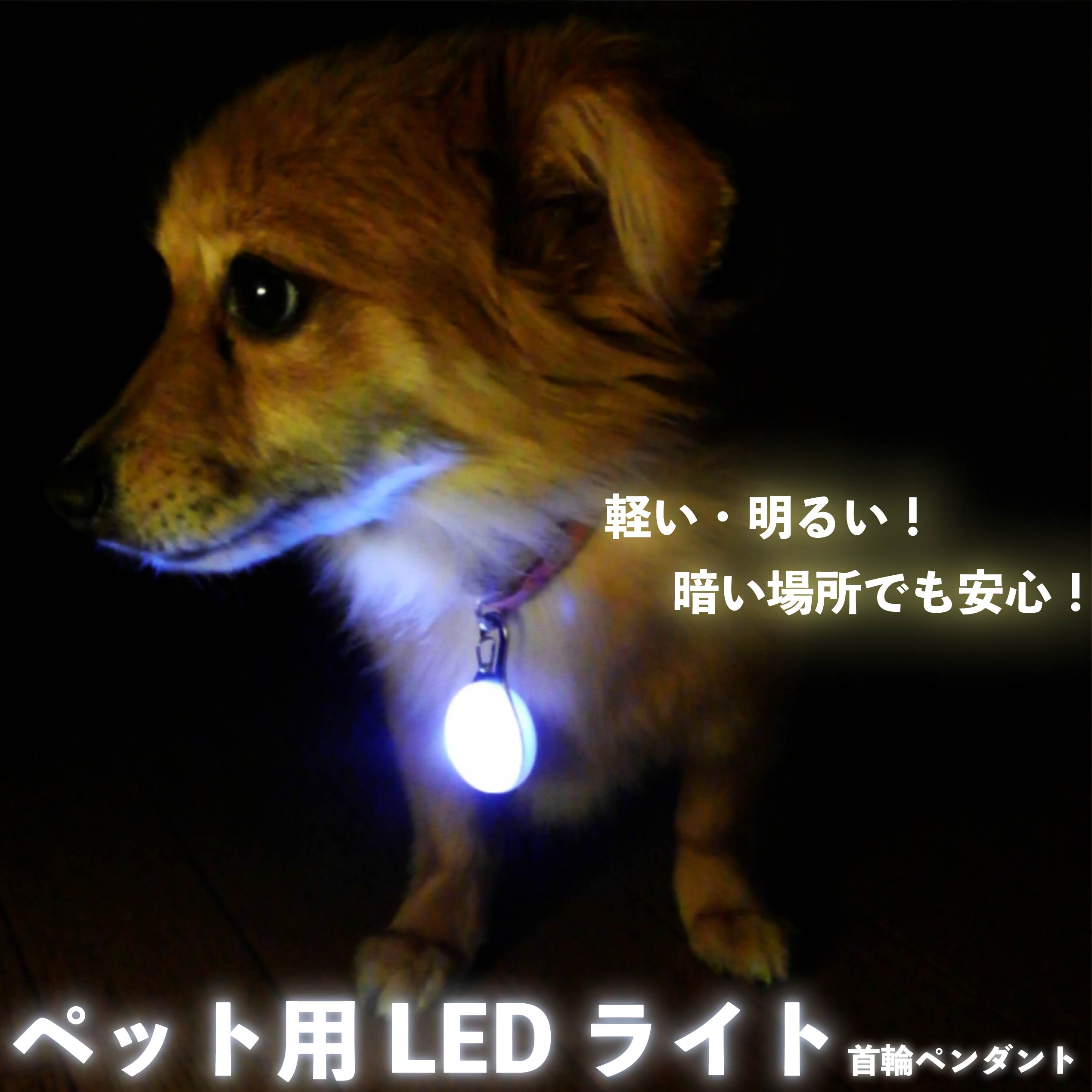 【送料無料】 LED お散歩ライト ペット 首輪 ペンダント 光る 犬 猫 夜間 散歩 安全 リード ...