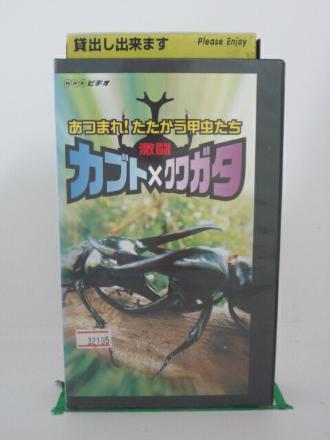 H525084【中古・VHSビデオ】「激闘カブトtimes;クワガタ~あつまれ!たたかう甲虫たち~」監修:須田真一