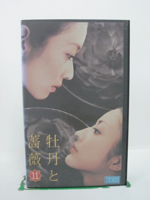 H5 37619【中古・VHSビデオ】「牡丹と薔薇 11」大河内奈々子/小沢真珠/神保悟志