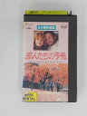 H5 45403【中古・VHSビデオ】「恋人たちの予感」日本語吹替版 監督：ロブ・ライナー/出演：ビリー・クリスタル/メグ・ライアン