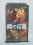 H5 45939【中古・VHSビデオ】「青の稲妻」字幕版 チャオ・タオ/チャオ・ウェイウェイ/ジャ・ジャンクー