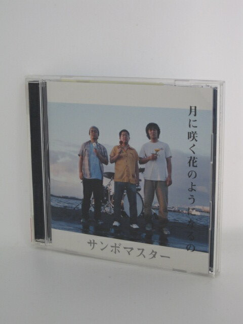 H4 15780【中古CD】「月に咲く花のようになるの」サンボマスター「月に咲く花のようになるの」「手紙（キング　オブ　ソウル　ミックス」「愛しき日々（ナッシュビル・スカイライン　バージョン」他。全4曲収録。