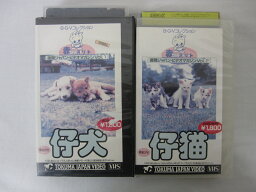 HVS01454【送料無料】【中古・VHSビデオセット】「赤ちゃんストリート仔犬.仔猫　VOL.1.2　計2本」