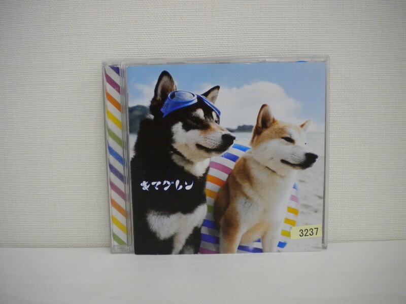 G1 33264【中古CD】 「ALIVE」キマグレン