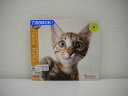 G1 33681 「【ゆるクラ】いきいき ブレイン」(WPCS-12371)【中古CD】