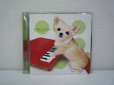 G1 37079 1000円ポッキリ 「いつも、いっしょ。for Dogs & Human」 2枚組 (TOCT-25126)【中古CD】