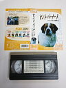 【送料無料】#1 01174【中古】【VHSビデオ】すばらしき犬の世界 セントバーナード　アルプスの救助犬