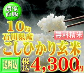 30年産新米コシヒカリ10kg 【送料無料】※一部地域別途負担【石川県産】【こしひかり】【玄米】【10k】【コシヒカリ】