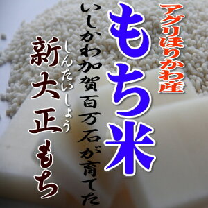 石川県産 もち米 3kg令和5年産もち米　新大正もち上白米3kg農家直送 お餅 赤飯 おこわ