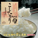 令和元年産こしひかり5kg1等米　送料無料※一部地域除く石川県産コシヒカリ