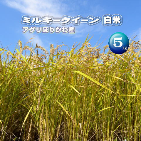 令和5年産 店長が生産者！【ミルキークイーン】白米5kg送料無料※一部地域別途負担