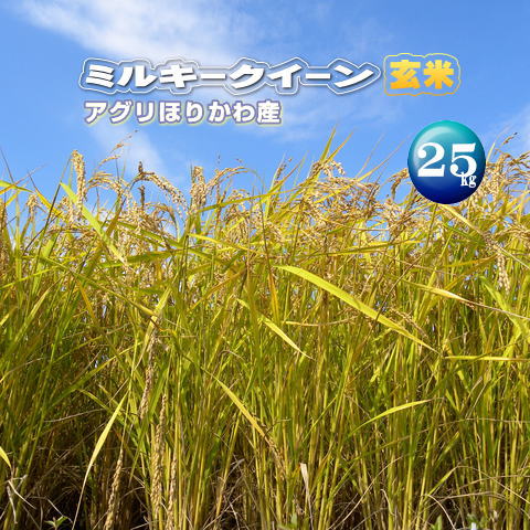 令和5年産 店長が生産者！【ミルキークイーン】玄米25kg送料無料※一部地域別途負担...