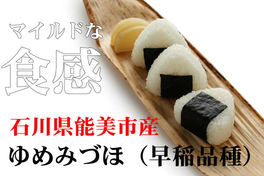 令和7年産【石川県産】一粒一粒のぷちぷち感あふれるマイルドな味わい！ ※九州・北海道・沖縄一部離島送料別途かかります　【石川県産 米 10kg】新米 令和7年産 ゆめみづほ 白米 10kg送料無料 農家直送 白米