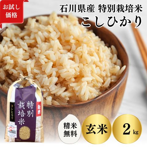 楽天市場】滋賀県 コシヒカリ 無農薬の通販 楽天市場】滋賀県 コシヒカリ 無農薬の通販