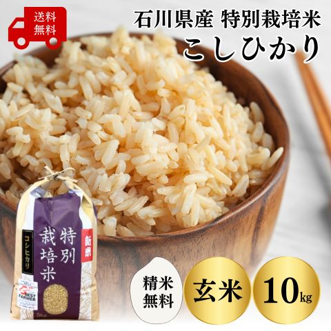 石川県産 米 20kg】令和6年産コシヒカリ20kg(10kg×2)玄米 送料 石川県産 米 20kg】令和6年産コシヒカリ20kg(10kg×2)玄米 送料