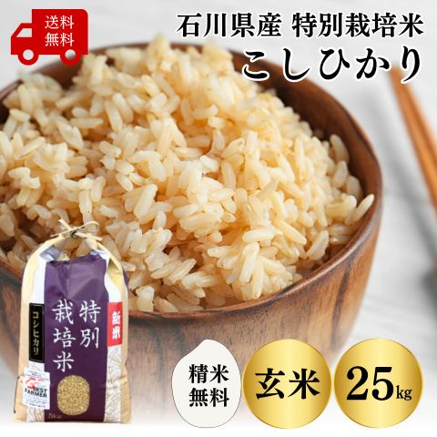 【石川県産 特別栽培米 25kg】令和5年産特別栽培米コシヒカリ25kg(5kg×5袋)玄米送料無料 こしひかり　有機肥料100％ 農家直送玄米 精米 選べます 精米無料