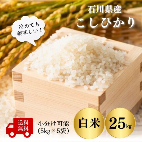 【石川県産 米 25kg】令和5年産コシ