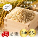 【石川県産 米 25kg】令和5年産コシヒカリ玄米25kg 小分できます（玄米5kg×5袋）送料無料 こしひかり 玄米